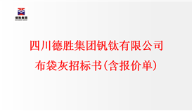 四川德勝集團(tuán)釩鈦有限公司 布袋灰招標(biāo)書(shū)(含報(bào)價(jià)單)